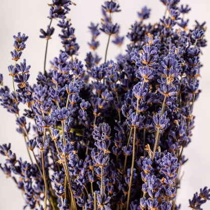 Dried Lavender Bunch