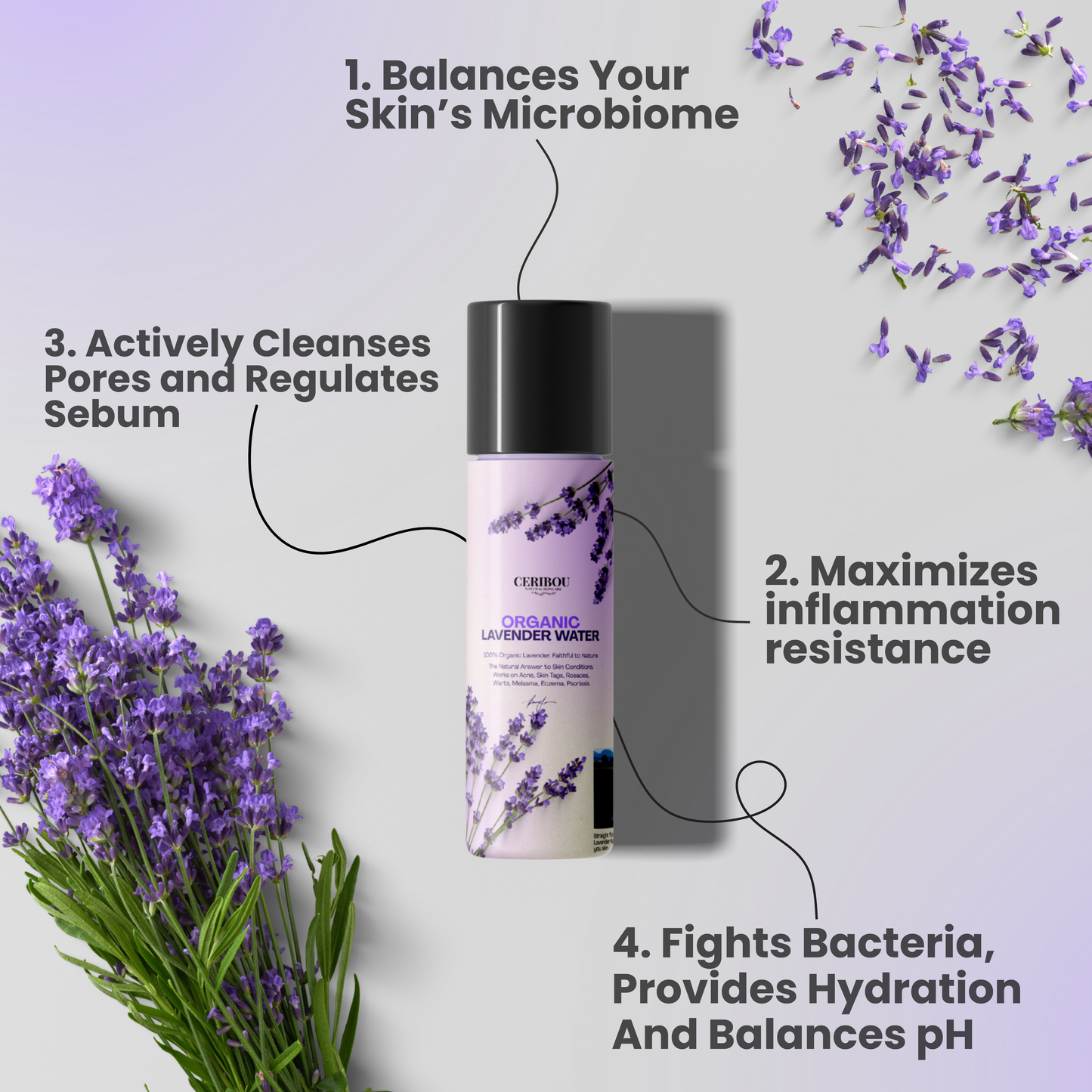 Ceribou Organic Lavender Water